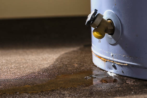 Best Sewage cleanup and water damage restoration  in Old Mystic, CT
