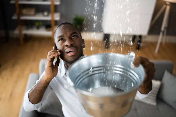 Best Water damage restoration process  in Old Mystic, CT