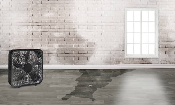 Best Flood restoration services  in Old Mystic, CT