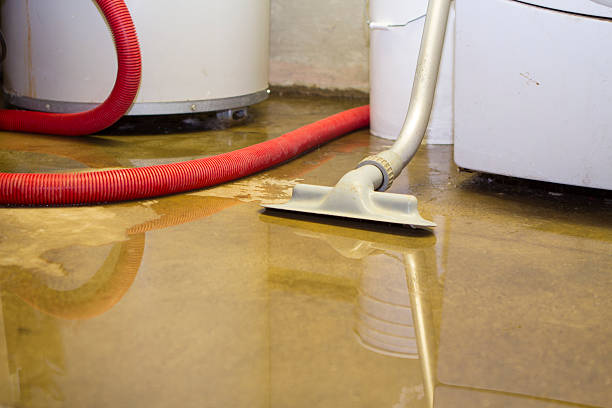 Water damage restoration mold remediation in Old Mystic, CT