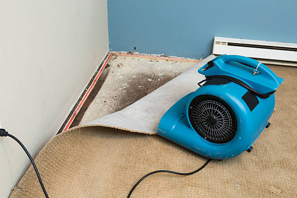  Old Mystic, CT Water damage restoration Pros